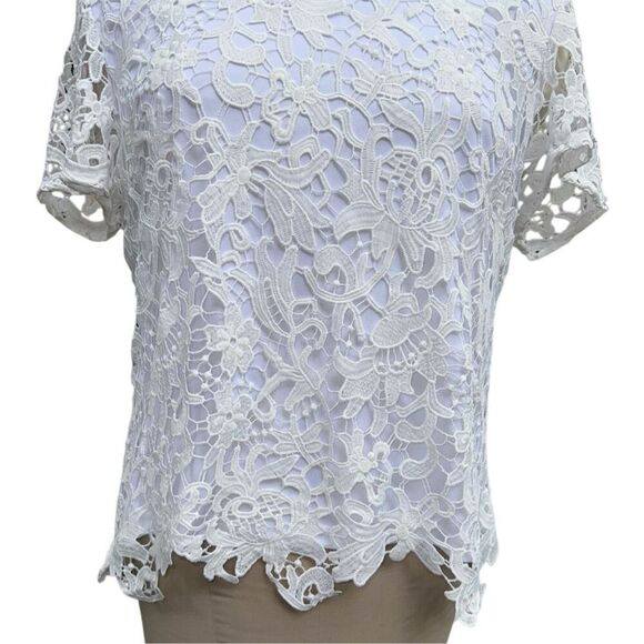 Calvin Klein Women’s Lace Top Lined Short Sleeve Sz. 14 Feminine - Picture 3 of 11